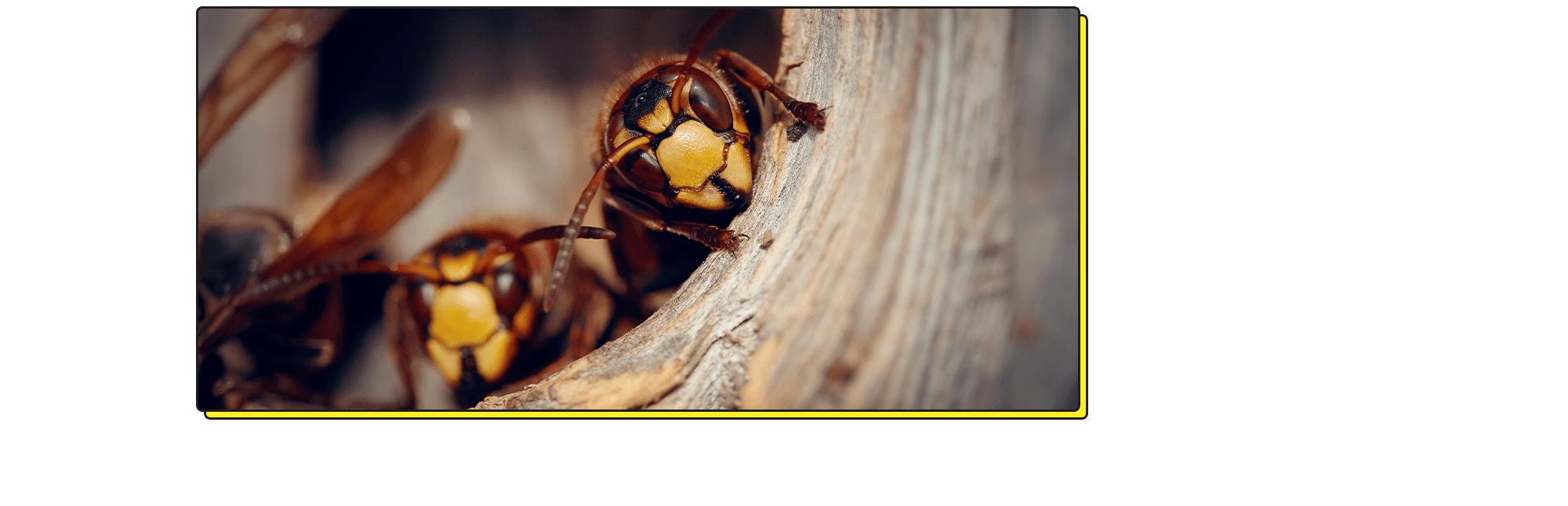 迅速対応！神奈川県地元を熟知した職人の技で解決